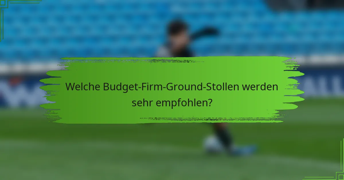 Welche Budget-Firm-Ground-Stollen werden sehr empfohlen?