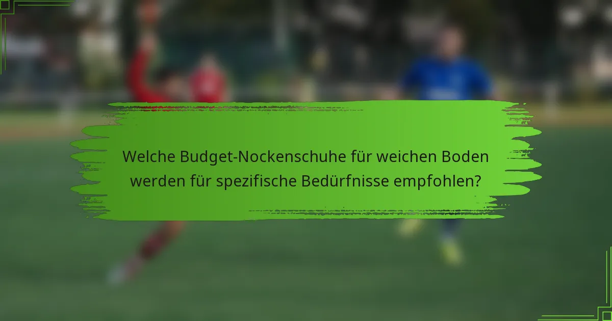 Welche Budget-Nockenschuhe für weichen Boden werden für spezifische Bedürfnisse empfohlen?
