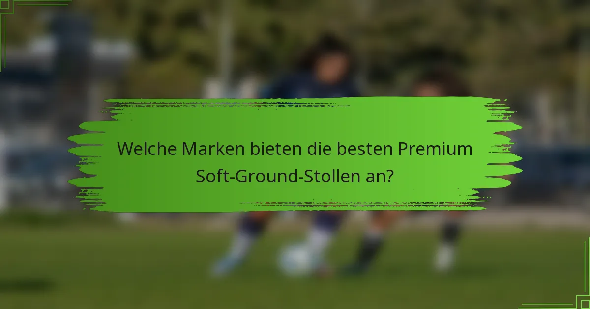 Welche Marken bieten die besten Premium Soft-Ground-Stollen an?