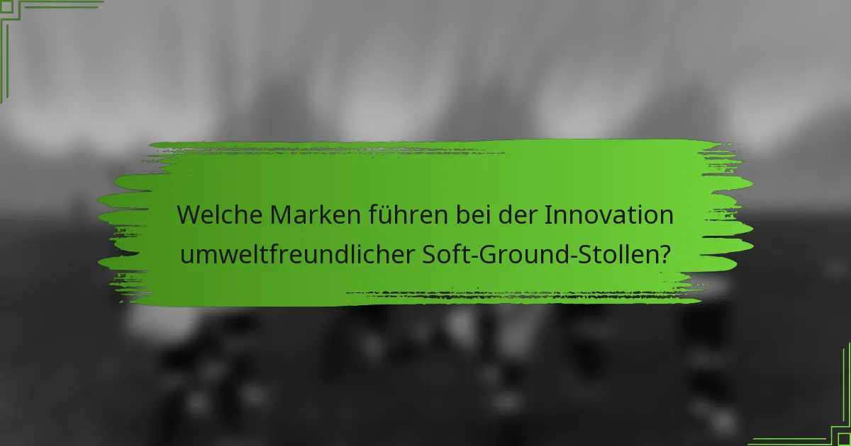 Welche Marken führen bei der Innovation umweltfreundlicher Soft-Ground-Stollen?